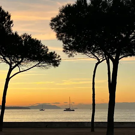 Lägenhet Ciotat Cherry - Au Coeur De A 2 Pas Du Port La Ciotat